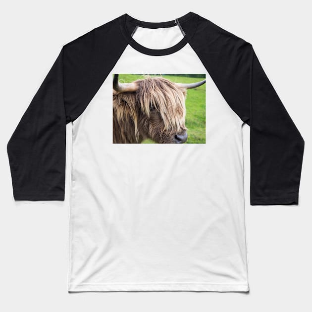 Scottish highland cow Baseball T-Shirt by Dolfilms